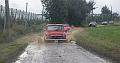 Follow the Leader _ (161)
